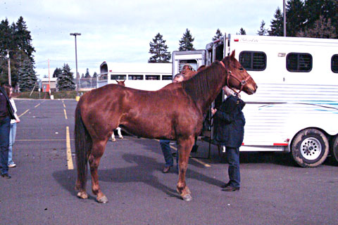 dscf0152.jpg